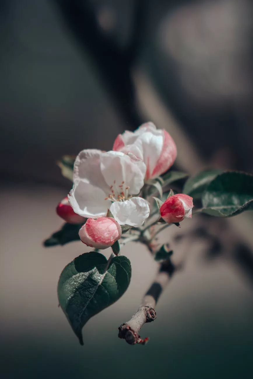 close up of flowers on branch