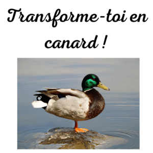 Lire la suite à propos de l’article Transforme-toi en canard !