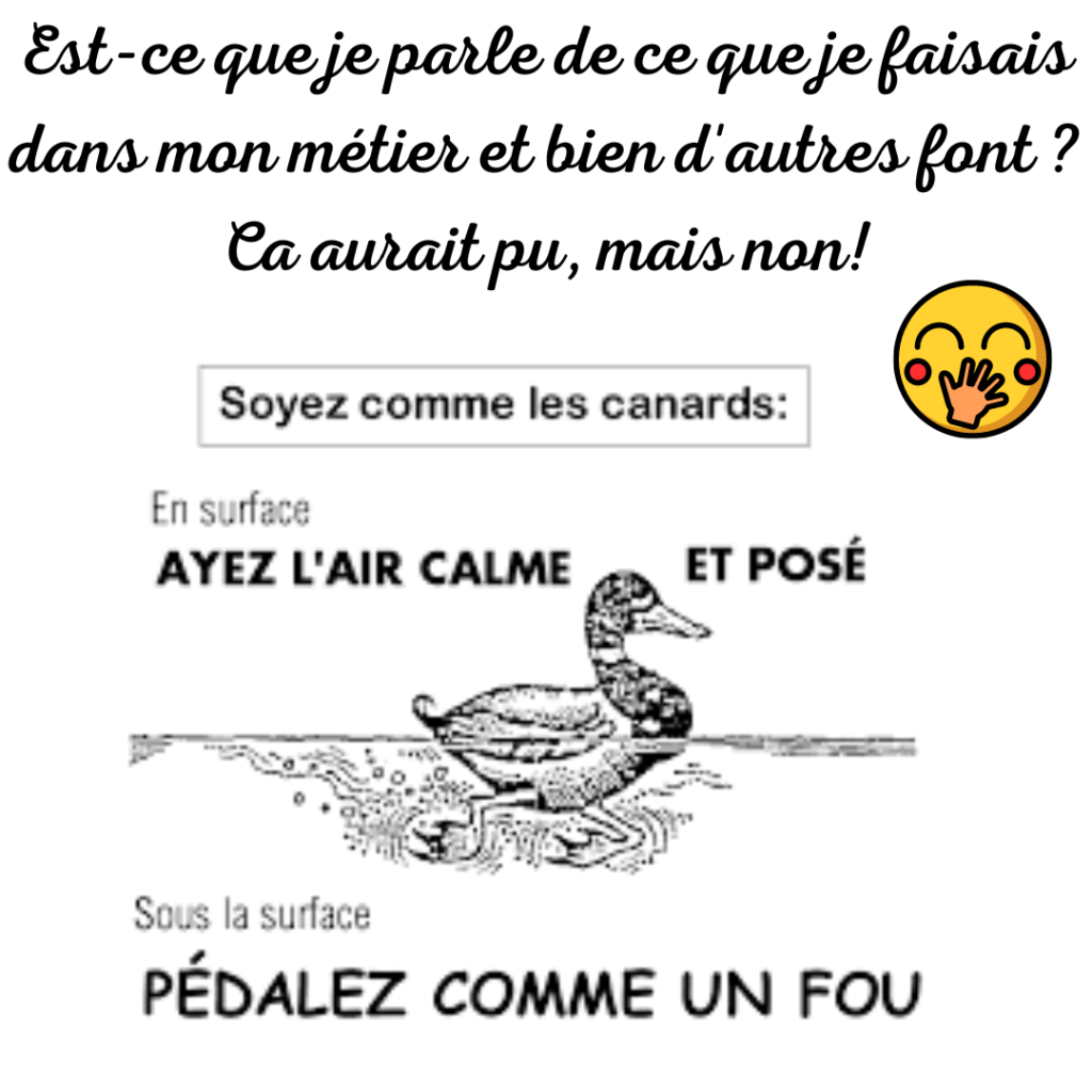 Est-ce que je parle de ce que je faisais dans mon métier et bien d'autres font ? Ca aurait pu, mais non !
Soyez comme les canards: en surface, ayez l'air calme et posé, sous la surface, pédalez comme un fou
par la Motivologue