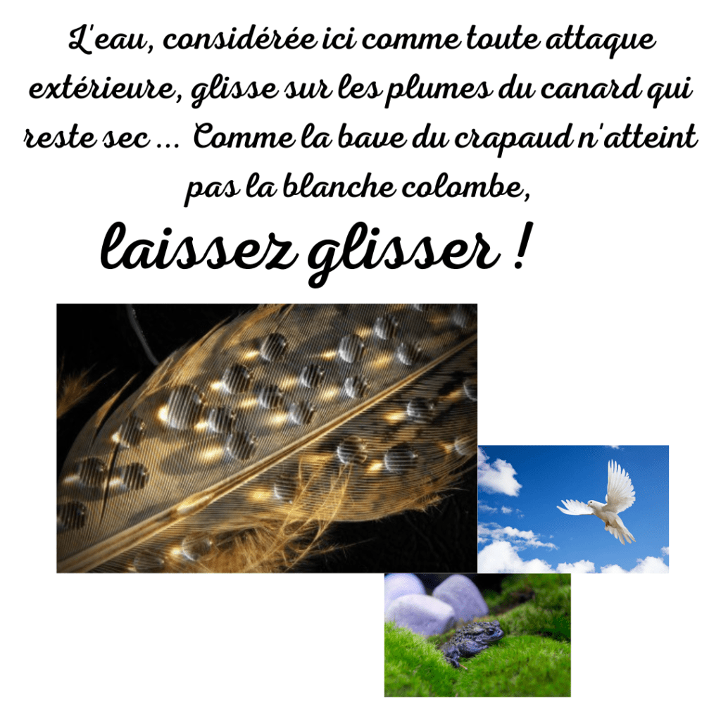 L'eau, considérée ici comme toute attaque extérieure, glisse sur les plumes du canard qui reste sec... Comme la bave du crapaud n'atteint pas la blanche colombe, laissez glisser !
Par la Motivologue