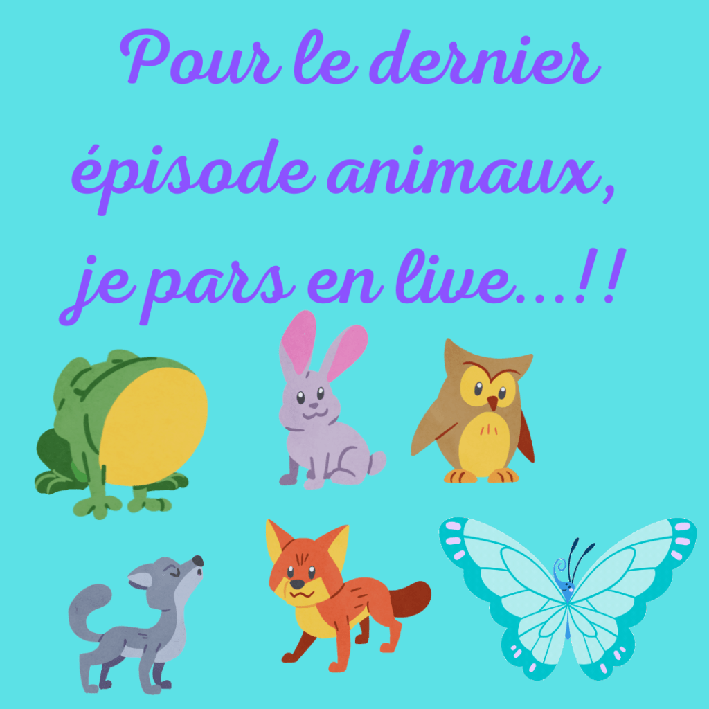 Et si je partais en live avec tous les animaux pour que tu entres dans le Cocon de la Motivologue ?