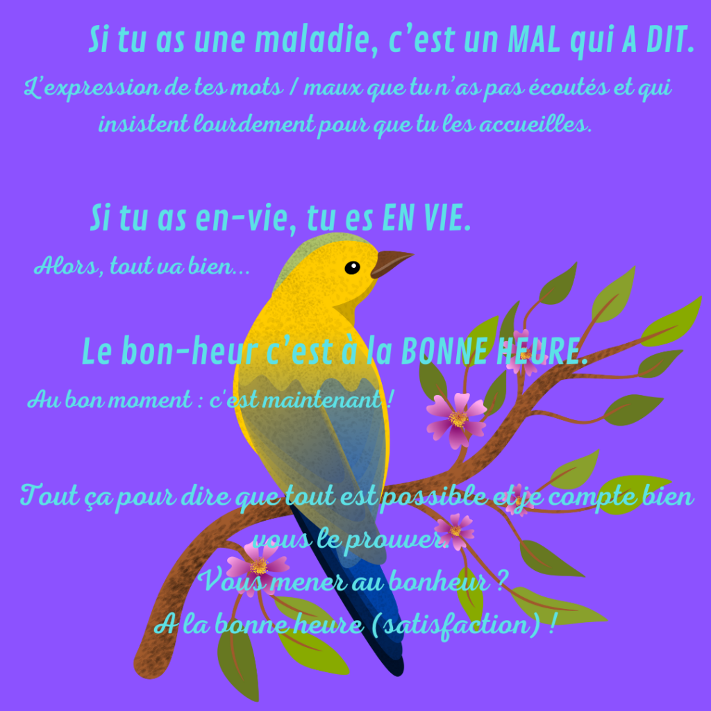 magie du langage des oiseaux
jeux de mots
par la Motivologue