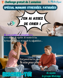 Lire la suite à propos de l’article Challenge « J&rsquo;en ai assez de crier ! »